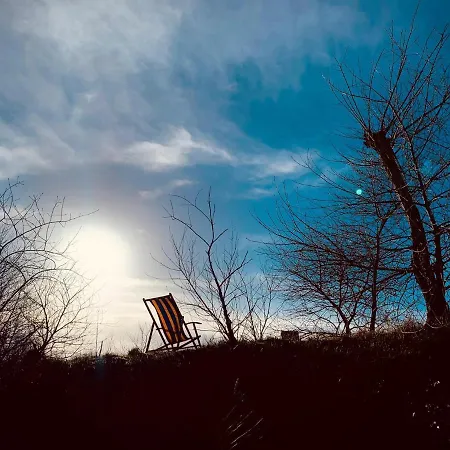 Potvis * Oostduinkerke