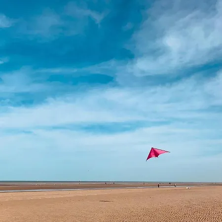 Potvis * Oostduinkerke