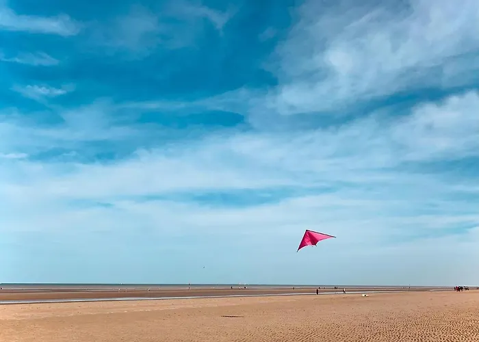 Potvis * Oostduinkerke