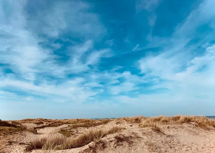 Potvis Ferienhaus Oostduinkerke